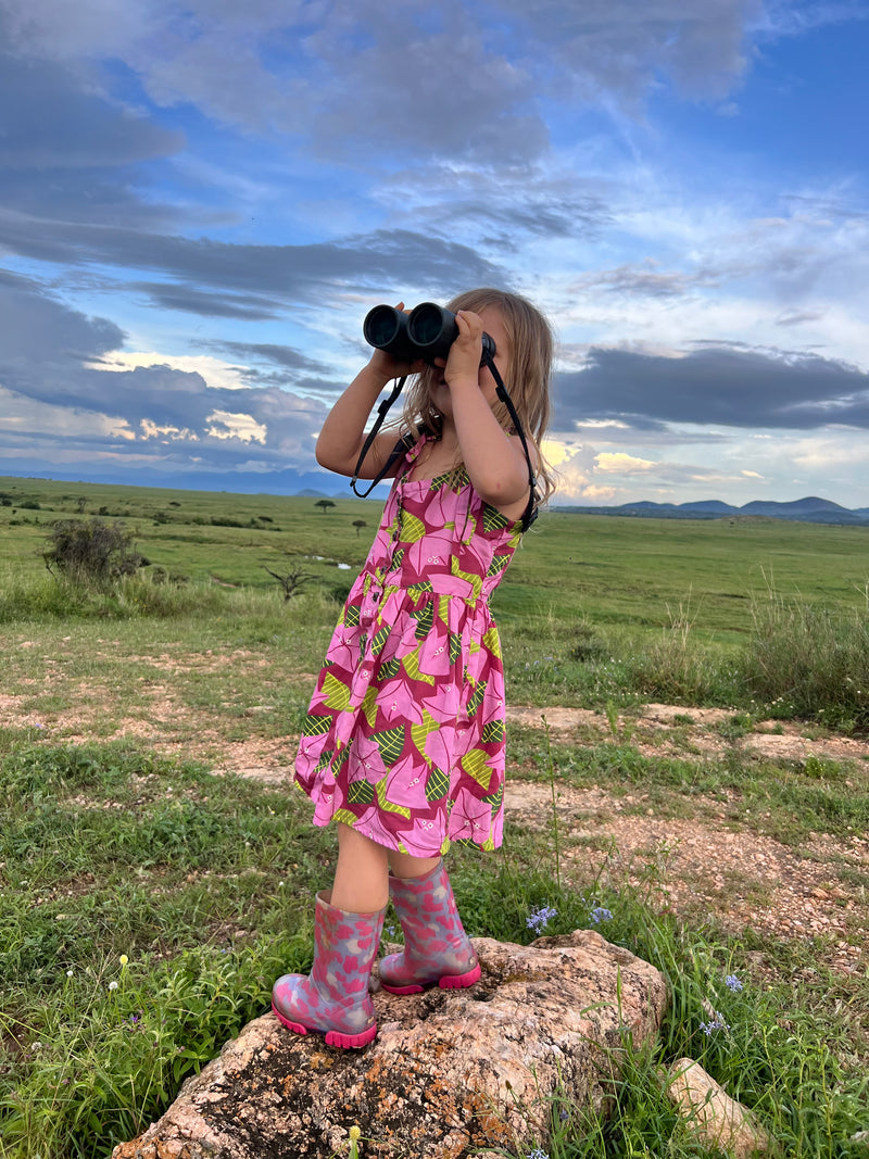 Little Adventures Dress